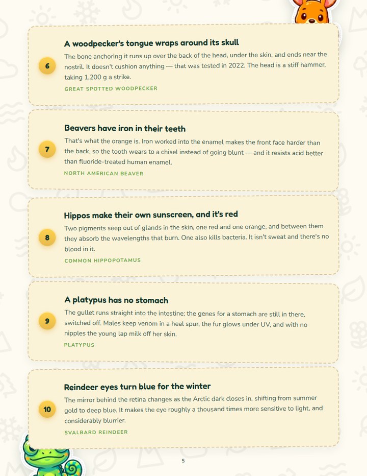 A page from the guide showing five numbered facts on cream cards
